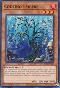 Cooling Embers